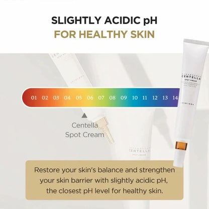 Korean Centella Spot Cream — 20ml Acne Repair